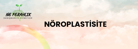Nöroplastisite